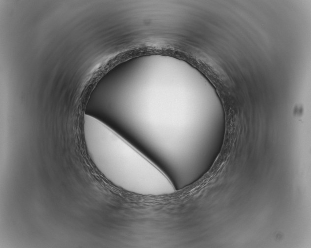 X0000091180776200708091045