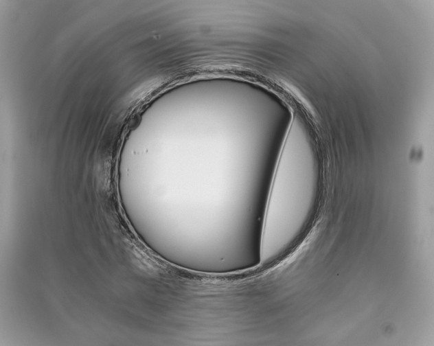 X0000091180777200708091045