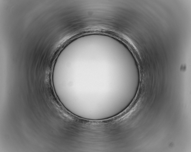 X0000091180778200708091045