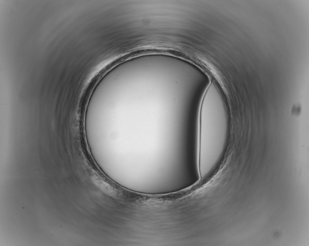X0000091180779200708091045
