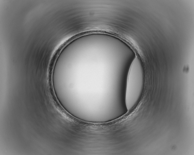 X0000091180780200708091045