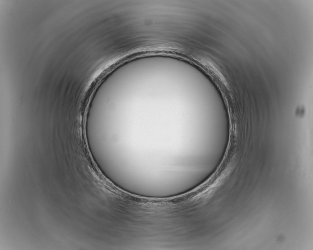 X0000091180781200708091045