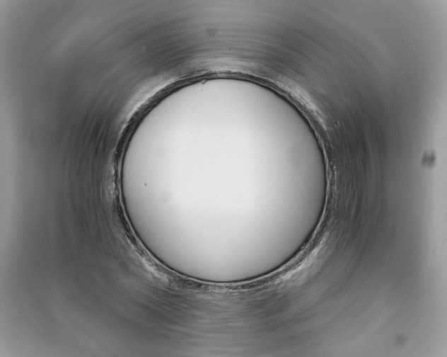 X0000091180782200708091045