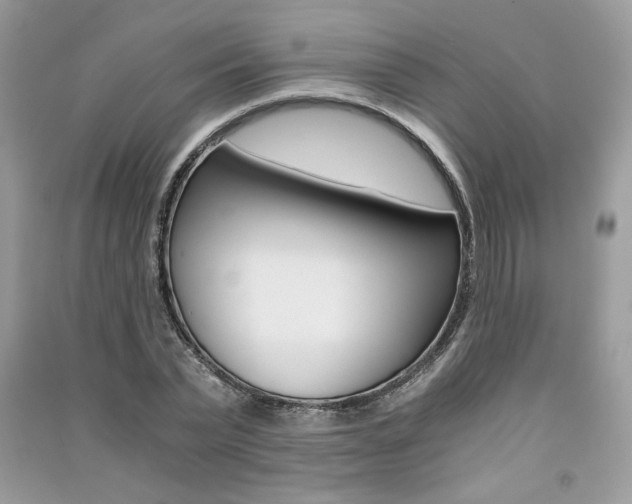 X0000091180783200708091045