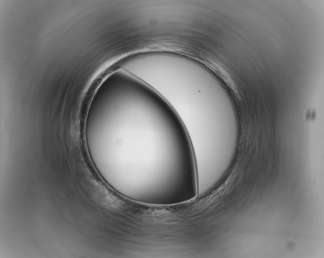 X0000091180784200708091045