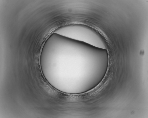 X0000091180785200708091045