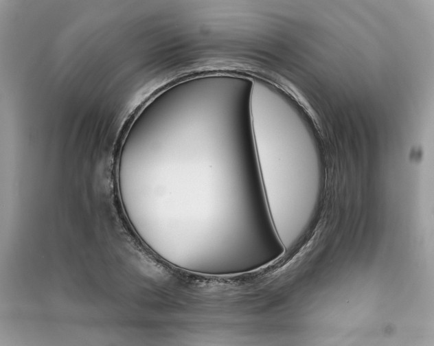 X0000091180786200708091045