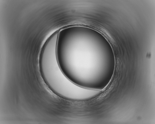 X0000091180788200708091045
