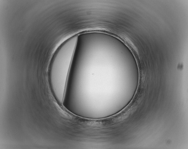X0000091180789200708091045