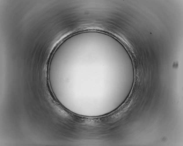 X0000091180790200708091045