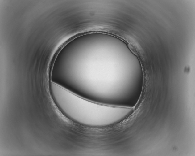 X0000091180792200708091045