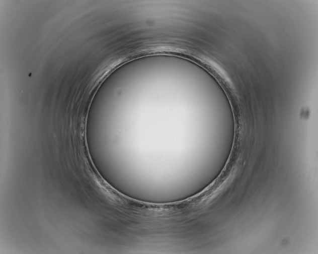 X0000091180793200708091045