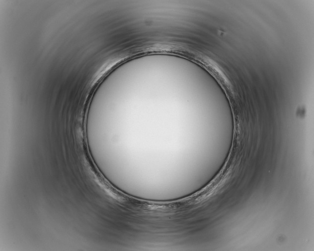 X0000091180794200708091045