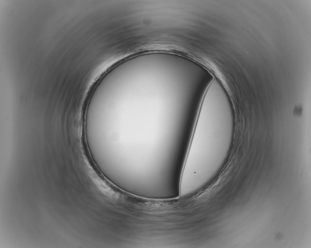 X0000091180795200708091045