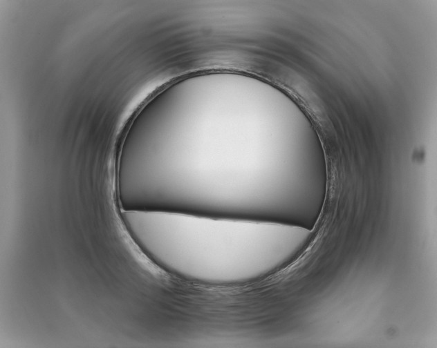 X0000091180796200708091045