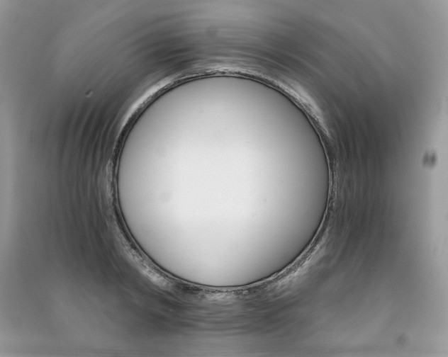 X0000091180798200708091045