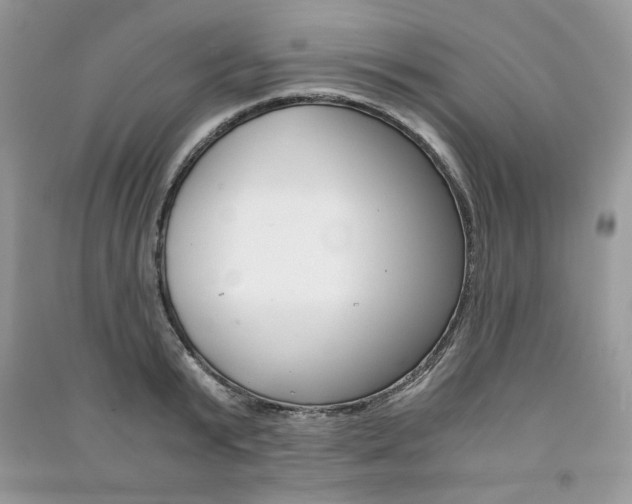 X0000091180799200708091045