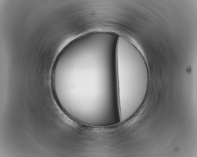 X0000091180803200708091045