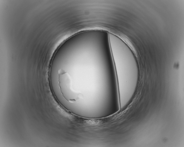 X0000091180805200708091045