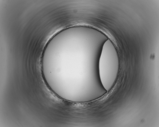 X0000091180806200708091045