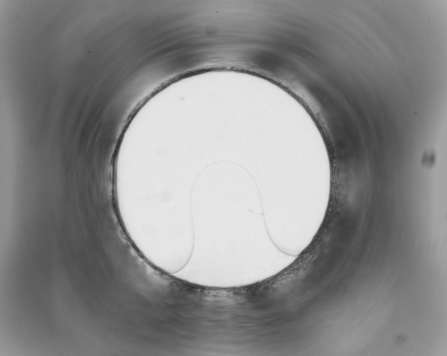X0000091180807200708091045