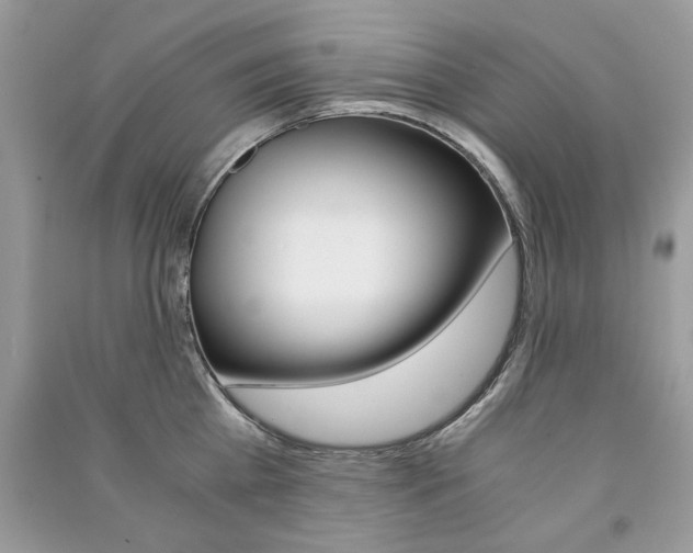 X0000091180809200708091045