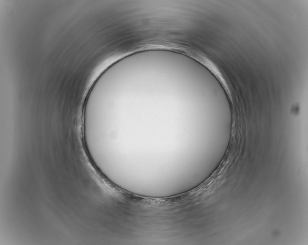 X0000091180811200708091045