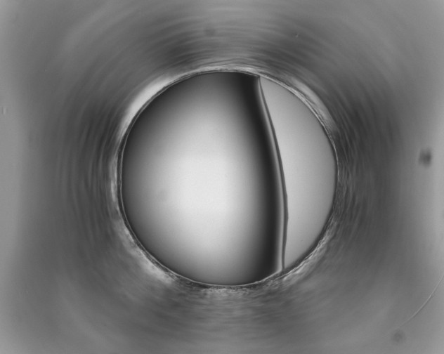 X0000091180812200708091045