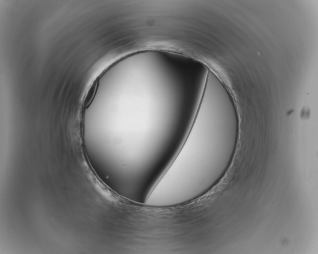 X0000091180816200708091045