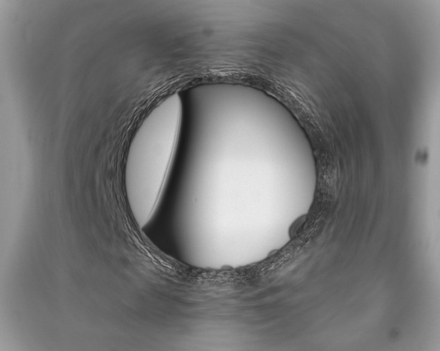 X0000091180817200708091044
