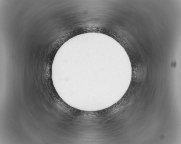 X0000091180820200708091044