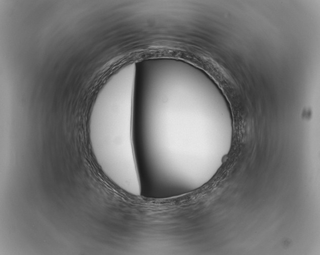 X0000091180821200708091044