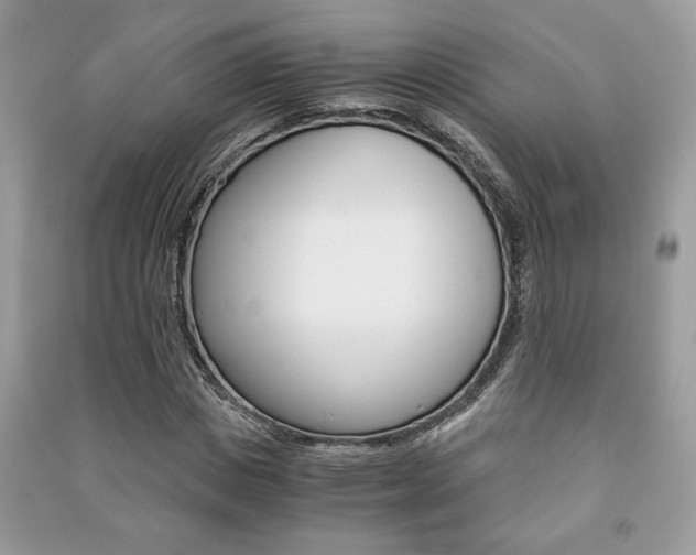 X0000091180825200708091044