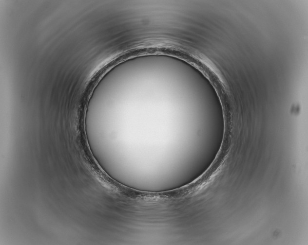 X0000091180826200708091044
