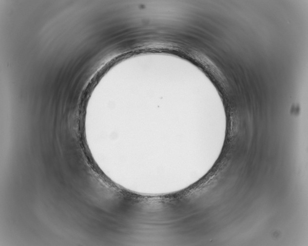 X0000091180828200708091044