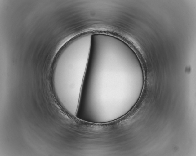 X0000091180829200708091044