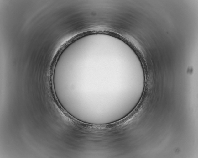 X0000091180831200708091044