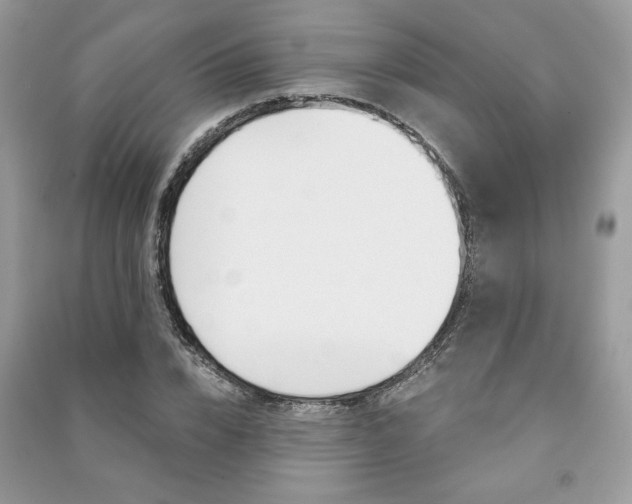 X0000091180832200708091044