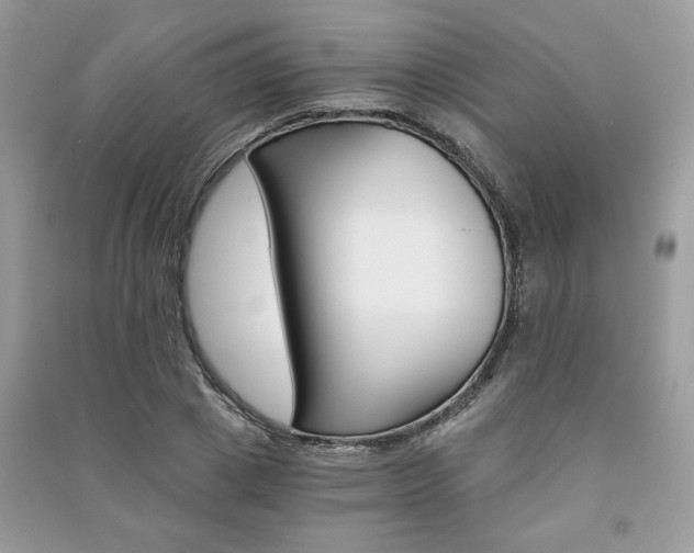 X0000091180833200708091044