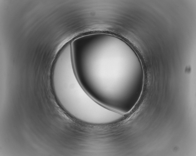 X0000091180834200708091044