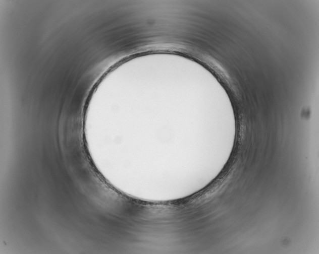X0000091180836200708091044