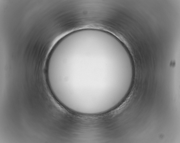 X0000091180838200708091044