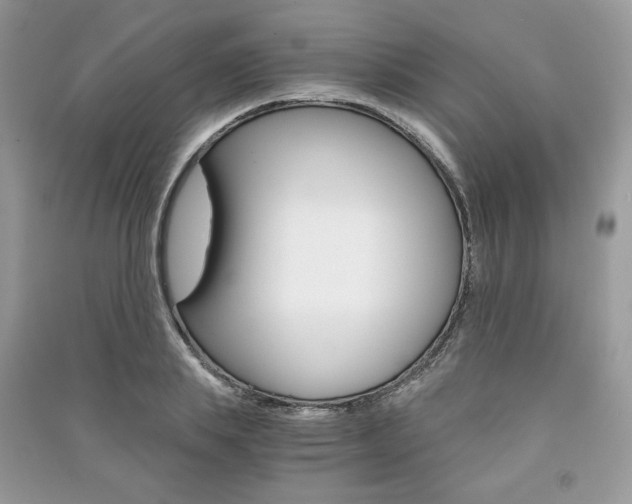 X0000091180839200708091044