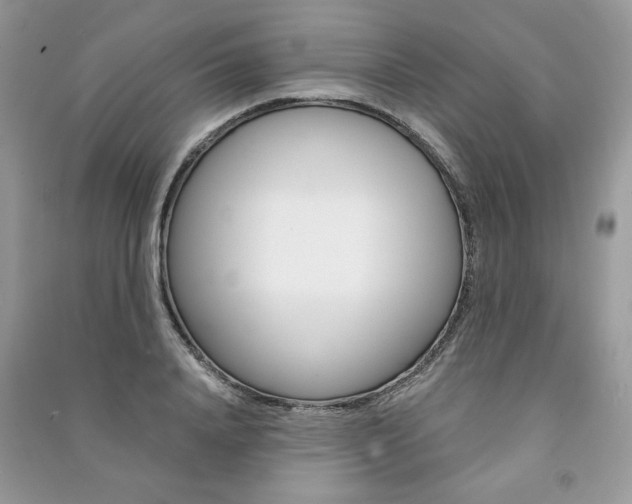X0000091180840200708091044