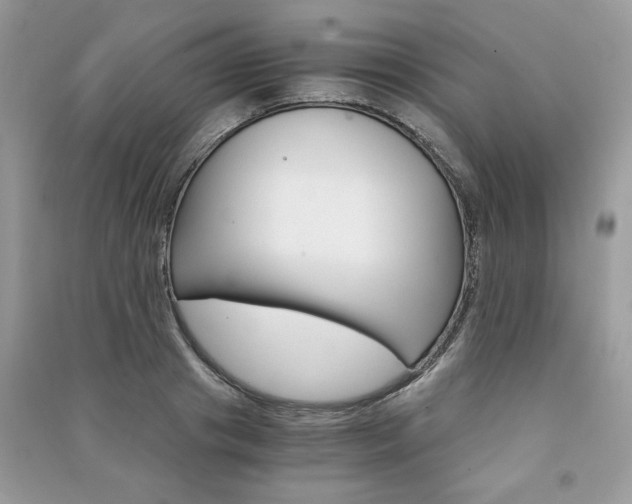 X0000091180841200708091044