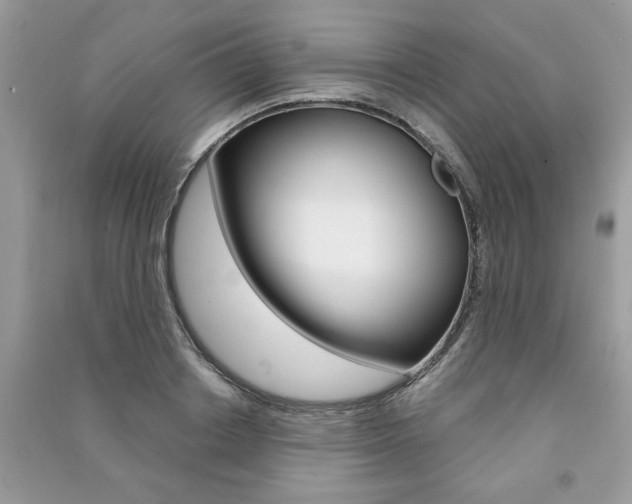 X0000091180842200708091044