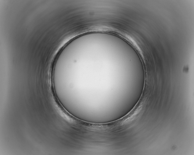 X0000091180843200708091044