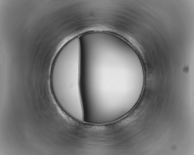 X0000091180845200708091044