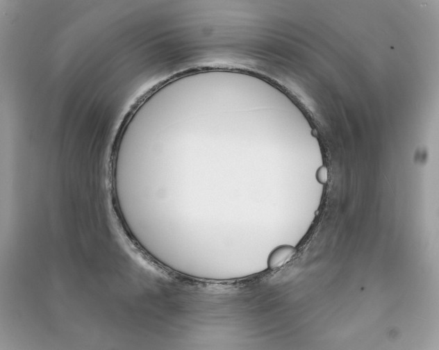 X0000091180848200708091044