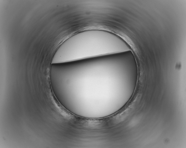 X0000091180849200708091044